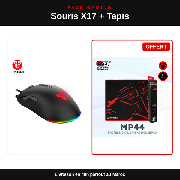 Pack Souris Gamer Fantech X17 Blake + Tapis MP44 : contenu du pack